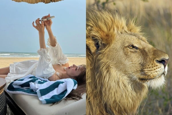 你知道自己像什麼動物嗎？MBTI人格「對應的動物」公開！ISFP完全是卡皮巴拉！