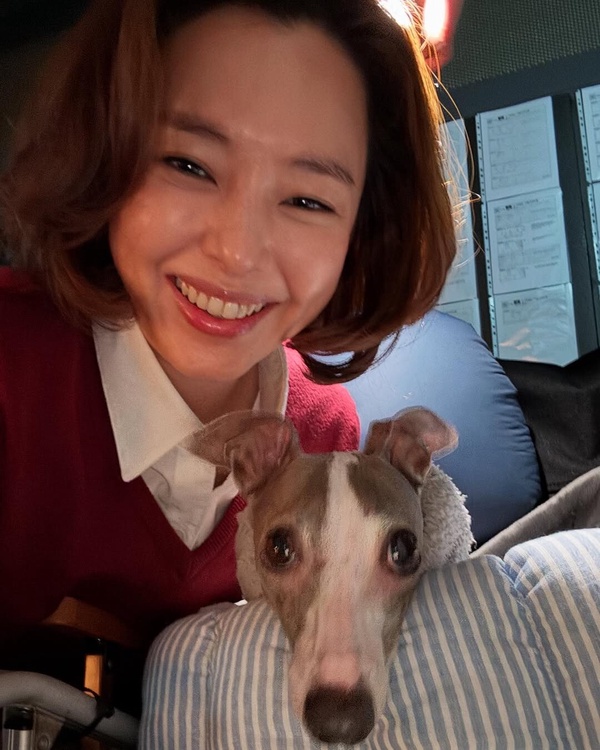 曾陷逃稅爭議韓星！全智賢2000萬，宋慧喬38億，柳演錫70億，零負評國民影后竟也逃過稅