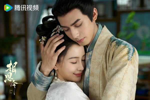 《相思令》有大家愛看的宅鬥，演員養眼，節奏也很快，不少觀眾打開後都改觀了。