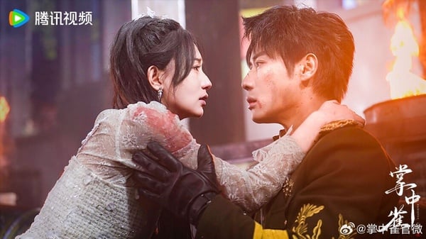 10部2025第一季必追短劇推薦！周峻緯《奪娶》土甜，《雨愛千金》代高政連推3部！