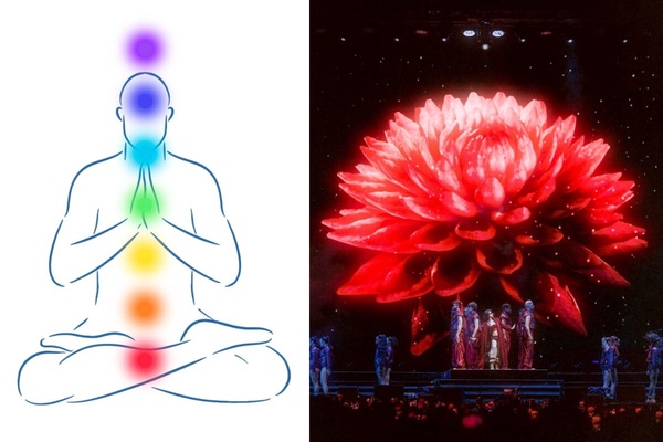 第一脈輪「海底輪」詳解：是讓你腳踏實地的能量中心，若失衡會易怒、焦慮、沒安全感！