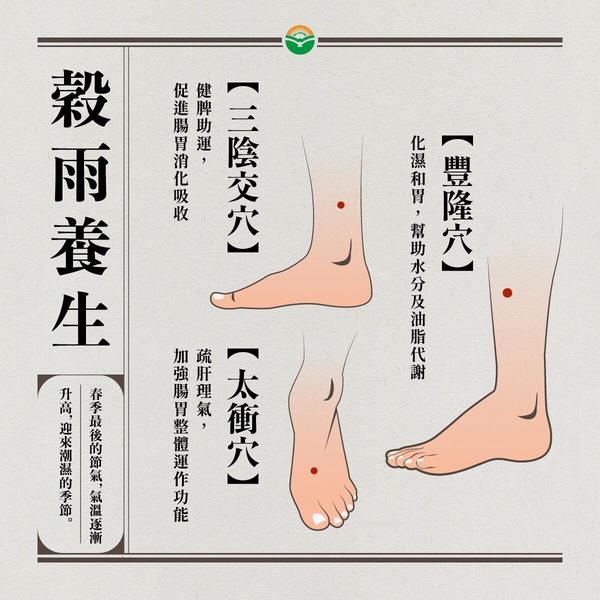 中醫親解「排濕去水腫」有效方法