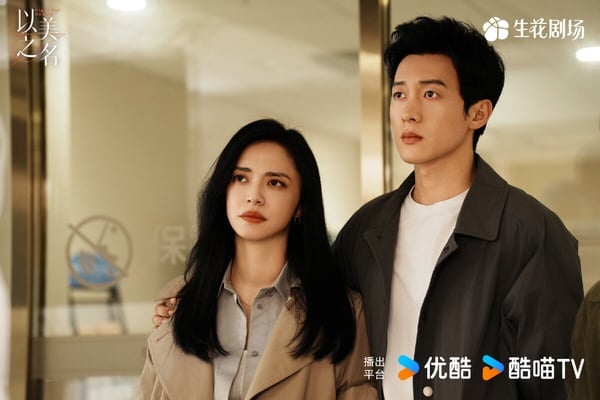 《以美之名》劇情圍繞醫美展開，姚晨和賈靜雯飾演一對宿敵，兩人勢均力敵又彼此欣賞，雙女主火花十足啊！劇情也有內容，劇中出現在整形外科的病人有各自的困擾，有些人為了「更美」而來，有些人卻因醫美而救贖身心，劇本確實不錯，題材也新穎，豆瓣評分6.8分。