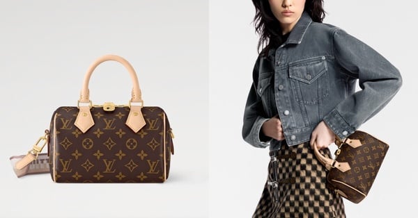 LV Speedy Bandoulière 20 Monogram 帆布