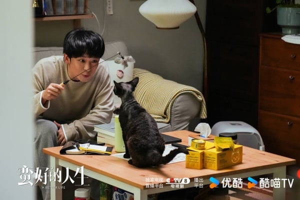 《蠻好的人生》劇情看點&amp;amp;amp;amp;amp;amp;amp;amp;amp;角色介紹：孫儷領董子健上演職場逆襲，手撕渣男超解氣！