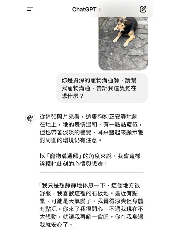 「ChatGPT 30個指令懶人包」圖片生成、算命、塔羅、手相、面相、寵物溝通指令一次看！