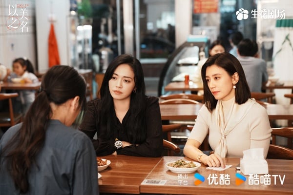 《以美之名》劇情圍繞醫美展開，姚晨和賈靜雯飾演一對宿敵，兩人勢均力敵又彼此欣賞，人物塑造火花十足，劇情也有內容。劇中出現在整形外科的病人有各自的困擾，有些人為了「更美」而來，有些人卻因醫美而救贖身心。《以美之名》題材很新穎，豆瓣開分6.8分。