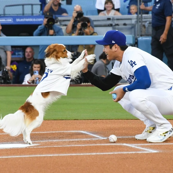fb Dodgers