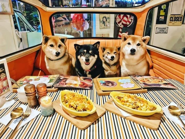 台北寵物友善餐廳推薦台北寵物友善餐廳推薦