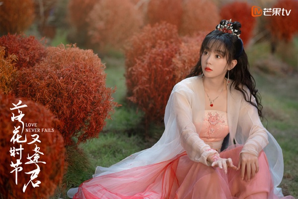 《落花時節又逢君》原本是劉學義和袁冰妍繼《琉璃》之後再合作，後來袁冰妍被封殺，才找來胡意旋補拍。《落花時節又逢君》原著小說被讀者評為《三生三世》後最好看的仙俠小說，如今換臉補拍後，劇情口碑一般。許多人都是衝著劉學義追劇的，劉學義狀態依然好，造型夢回了《琉璃》，反觀胡意旋的扮相、演技就迎來不少吐槽，女主選角被認為不太適合。