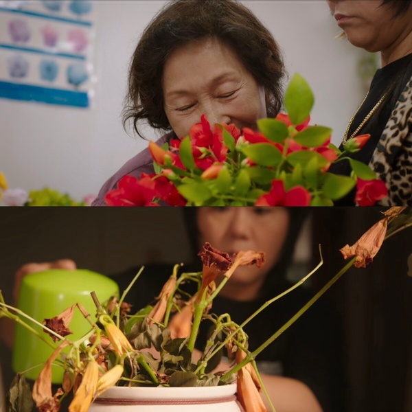 《比天堂還美麗》小絮身份猜測：網猜吉娃娃、海淑流掉的孩子，「這個」身份最多人贊同