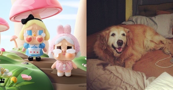 Crybaby 盲盒和 Molly Yllom 的愛犬 Somchun 照片，Crybaby 設計靈感來自 Somchun