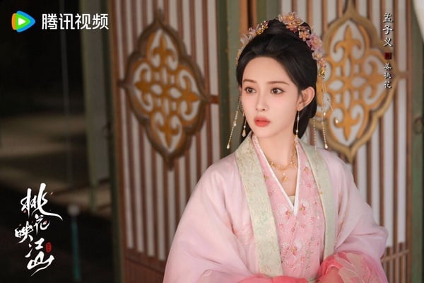 《桃花映江山》劇情講述祁國權臣沈在野因政敵設計陷害，不得不迎娶來自北苑國的和親公主姜桃花，兩人從最初的互相猜忌、鬥智鬥勇，到逐漸攜手合作、暗生情愫，最終攜手克服重重困難，共同書寫一段動人的愛情故事。