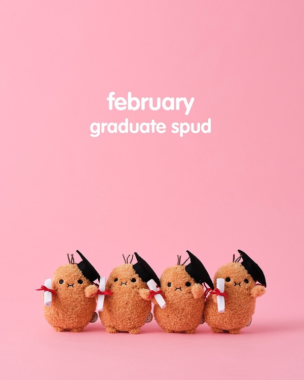 Noodoll 馬鈴薯家族生日圖鑑：二月 Graduate Spud