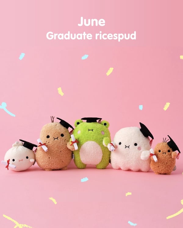 打敗 Labubu 和 Crybaby！Noodoll 馬鈴薯家族席捲社群，快來尋找你的生日月命定款！
