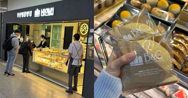 B&amp;amp;amp;amp;amp;amp;C bakery，釜山知名麵包店，黃豆粉年糕麵包和酥皮饅頭人氣推薦。
