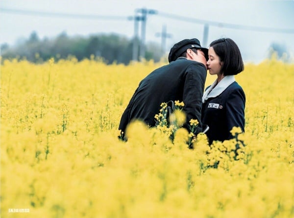 Netflix《苦盡柑來遇見你》劇照，IU和朴寶劍在濟州島的田園風光中