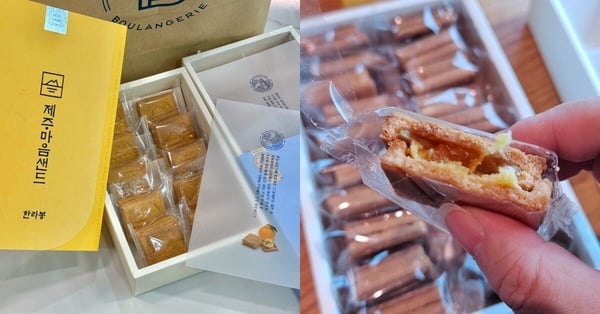 還在尋找濟州島必買伴手禮？Paris Baguette 推出機場限定花生和柑橘口味奶油夾心餅乾，酥脆外皮與濃郁內餡，讓人一吃就愛上