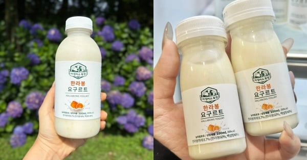 濟州島必喝飲品！早晨微笑牧場 柑橘優酪乳，酸甜清爽，橘子味濃郁，可愛包裝，消暑解渴