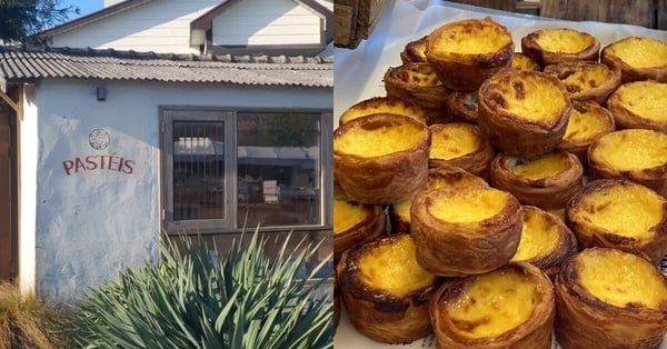 濟州島人氣蛋塔！Pastéis 葡式蛋塔，酥脆外皮，濃郁內餡，號稱「人生蛋塔」，必嚐！