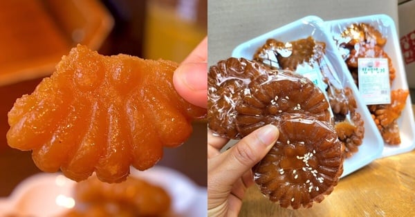 韓國傳統甜點！匠人藥果，蜂蜜、芝麻油和小麥粉製成，香酥可口，搭配茶飲更美味。