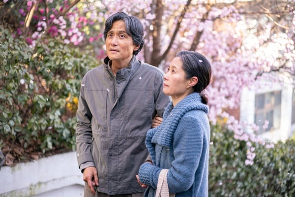 豆瓣 9.5 高分韓劇《苦盡柑來遇見你》，2025 年必看神作