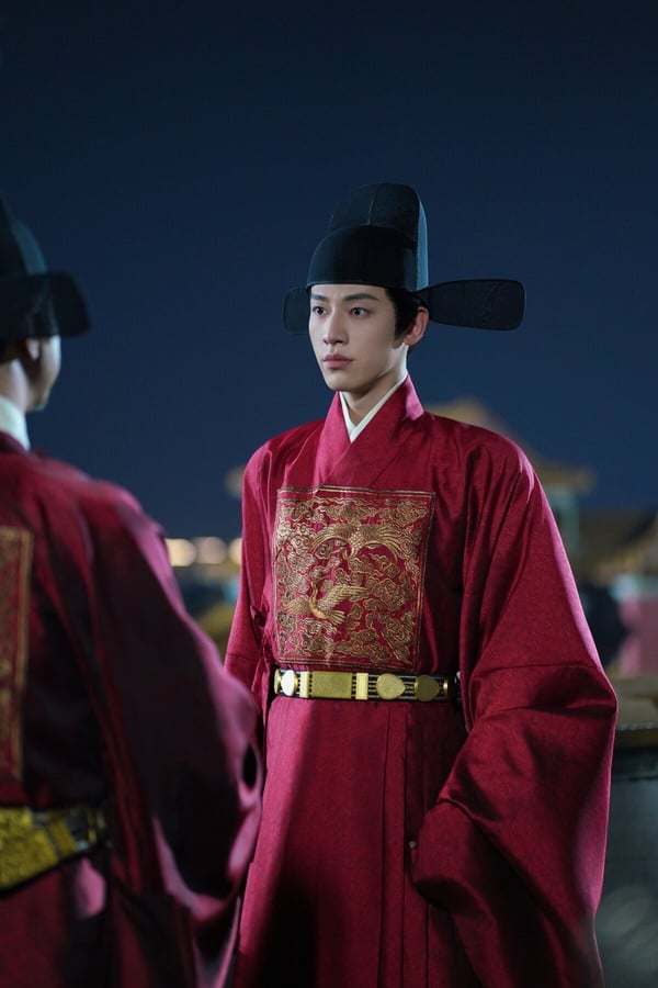 《雁回時》是今年的高熱度古裝劇，宅鬥復仇題材。辛雲來飾演大理寺少卿傅雲夕，他最初只是利用莊寒雁，想接近調查對象莊仕洋，卻意外愛上了她。《雁回時》CP線帶感，製作也很精良，這部劇的造型參考了明朝，劇中不只男女主角，就連反派人物的造型，每一套都很講究！