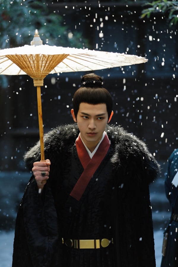 《雁回時》是今年的高熱度古裝劇，宅鬥復仇題材。辛雲來飾演大理寺少卿傅雲夕，他最初只是利用莊寒雁，想接近調查對象莊仕洋，卻意外愛上了她。《雁回時》CP線帶感，製作也很精良，這部劇的造型參考了明朝，劇中不只男女主角，就連反派人物的造型，每一套都很講究！