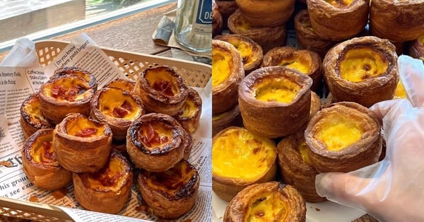 濟州島蛋塔推薦：Pastéis 葡式蛋塔