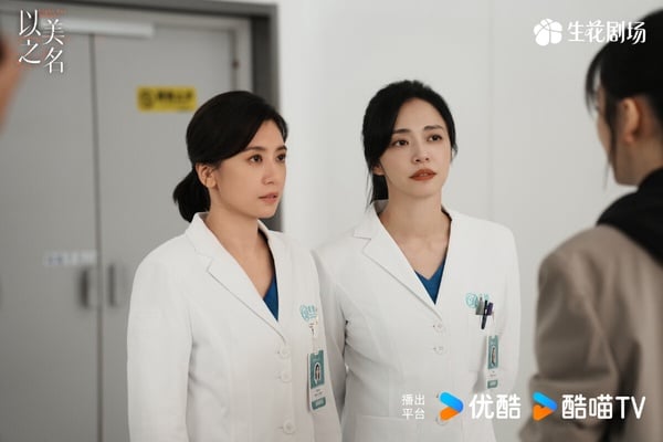 《以美之名》是一部雙女主劇，劇情圍繞醫美展開。姚晨和賈靜雯飾演一對宿敵，兩人勢均力敵又彼此欣賞，人物塑造火花十足。劇中出現在整形外科的病人有各自的困擾，有些人為了「更美」而來，有些人卻因醫美而救贖身心，題材很新穎。《以美之名》講述師出同門的整形外科醫生喬楊和周靜雯是多年冤家，兩個女人在各自最糗的時刻迎來宿命般重逢，同為整形醫院的王牌醫生，二人帶領各自團隊，展開關於美、關於女性職場、關於醫者仁心的激烈探討與衝撞。