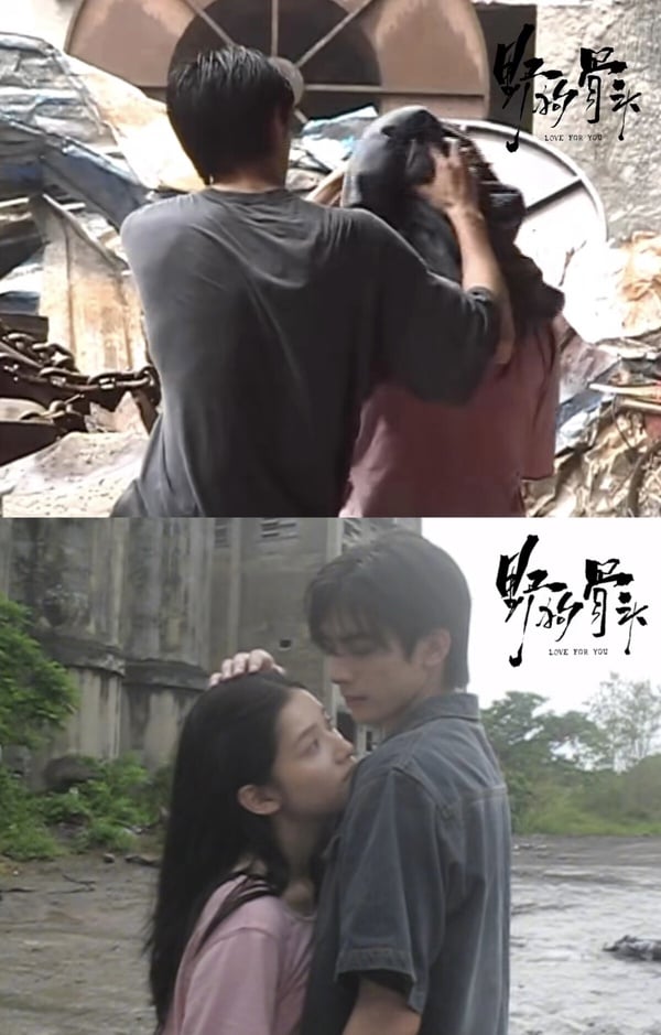 《野狗骨頭》劇情看點&amp;amp;amp;amp;amp;amp;amp;amp;amp;amp;角色介紹