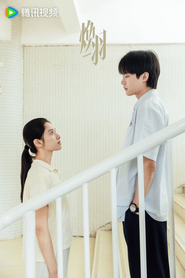 《煥羽》開播評價不如預期？張婧儀手撕親戚超爽快，網評和周翊然CP感弱