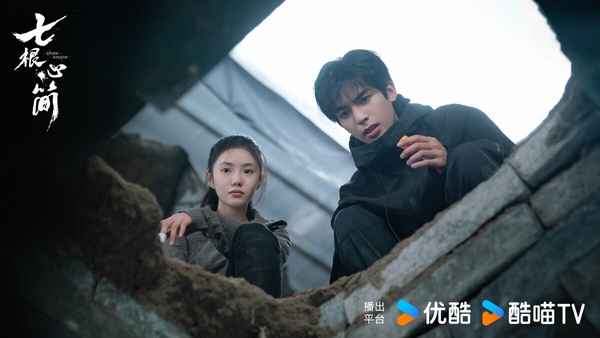 《七根心簡》題材很特別，改編自尾魚的小說，是一部奇幻冒險劇。劇情帶有一些靈異、超自然等因素，挺獵奇，首播後口碑還可以。以往尾魚的小說影視化後都被亂改，僅有《司藤》改編成功，而《七根心簡》找來尾魚親自監督，沒有魔改，選角也很合適。喜歡看奇幻劇、恐怖劇的觀眾可以嘗試。