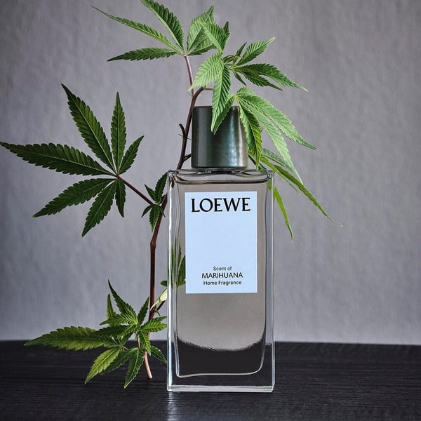 比香水更輕盈無負擔！夏季居家香氛、織品噴霧推薦，Aesop、BYREDO床單香迷人必收