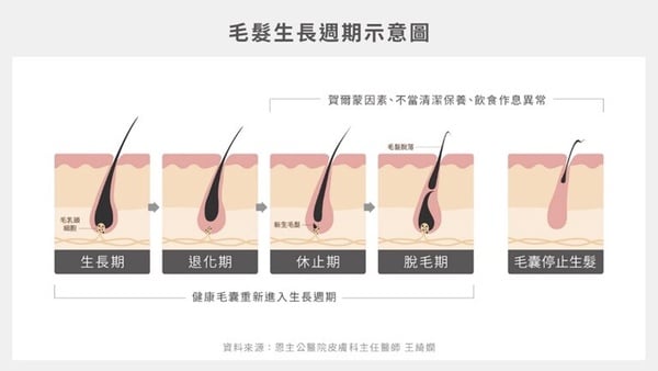 解決頭皮空洞！熱門頭皮精華+正確用法盤點