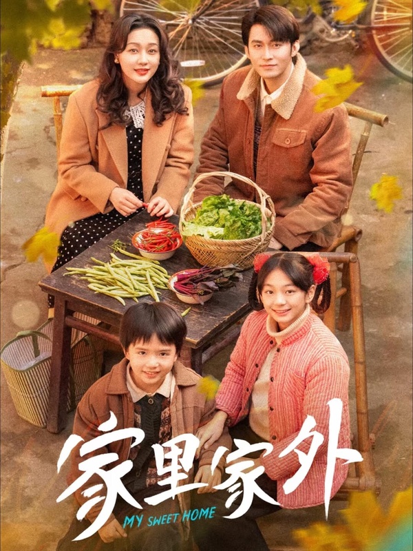 《家裡家外》劇情講述1981年，蔡曉艷與陳海清閃婚，兩人組成新的家庭，蔡曉艷性格潑辣，陳海清卻認為她很好，相處中，蔡曉艷打開了陳海清的女兒陳爽閉塞的內心，陳海清的真誠也收獲了蔡曉艷兒子邵一帆的信任，一家四口的他們互相愛與支持，抵擋外界風雨，越過越美好。