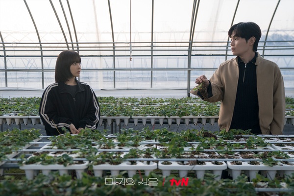 2025上半年豆瓣最高分韓劇TOP10!《惡緣》8.7《未知的首爾》8.7分第二，冠軍一面倒好評