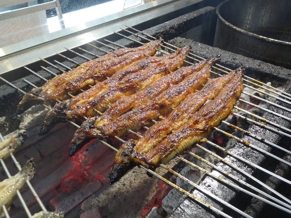 「肥前屋」熄燈不知道該吃哪間？台北鰻魚飯15間必吃推薦！每間都又大又肥一次滿足！