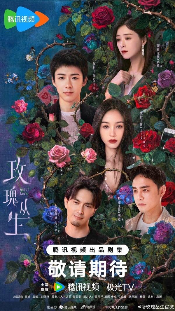 劉宇寧今年一口氣推了兩部作品《折腰》與《書卷一夢》，讓他的人氣再次上升！不過劉宇寧在拍完《書卷一夢》後，已經295天（日期統計到7/3）沒進組拍新戲了，但他手裡目前還有一部現偶待播劇《玫瑰叢生》