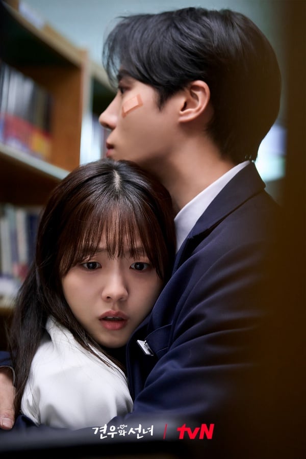 網評近期「最推薦追」韓劇TOP6！李鐘碩《瑞草洞》好評必追，有部冷門好劇錯過真的可惜