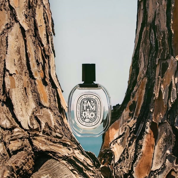 Diptyque 香水推薦10：譚道淡香精