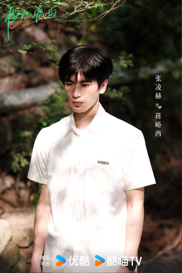 《櫻桃琥珀》由打造過《知否》、《瑯琊榜》的正午陽光出品，目前《櫻桃琥珀》首播後評價比較兩極。有觀眾認為《櫻桃琥珀》前幾集劇情太平淡，沒有太多高潮迭起，加上大家對「正午陽光」的招牌有濾鏡，而《櫻桃琥珀》被認為沒有達到正午陽光以前的水準。但也有觀眾認為，《櫻桃琥珀》後面有漸入佳境。這部劇不是單純的愛情戲，還有親情、友情支線，趙今麥、張凌赫外型很搭，還是有不少看點。