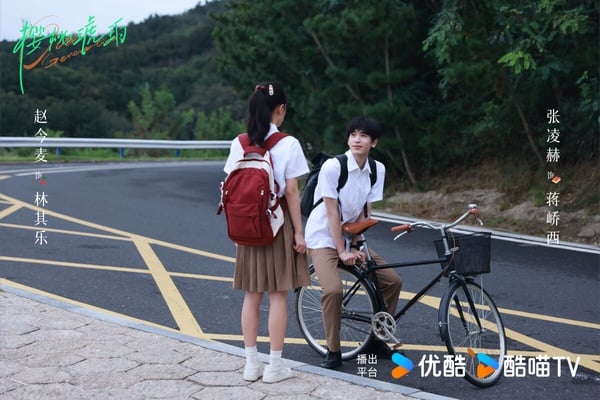 《櫻桃琥珀》開播評價兩極！趙今麥、張凌赫二搭CP感足，剪輯卻遭批太過破碎