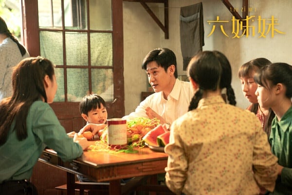 《六姊妹》是一部年代情感劇，講述何常勝攜家帶口移居安徽淮南，接著他連得六個女兒，卻在一場車禍中告別人世。何家女人們撐起了家族重擔，六姊妹也團結一心，克服了婚戀、工作、生活等命運起伏。