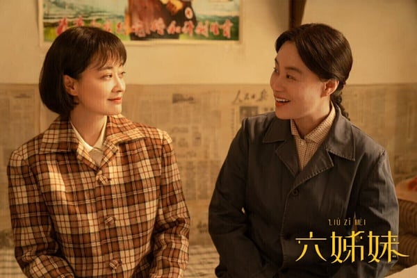 《六姊妹》是一部年代情感劇，講述何常勝攜家帶口移居安徽淮南，接著他連得六個女兒，卻在一場車禍中告別人世。何家女人們撐起了家族重擔，六姊妹也團結一心，克服了婚戀、工作、生活等命運起伏。