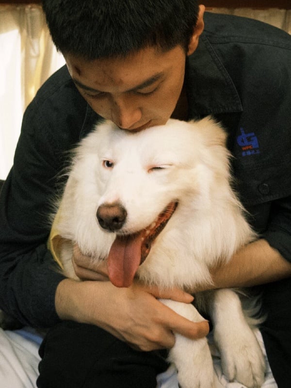 中國藝人那些可以自己賺飼料錢的小狗們，孟子義的狗超有名、連 LV 都有邀請小狗！