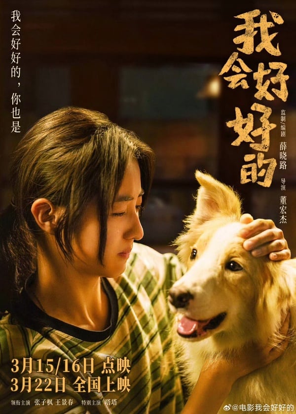 中國藝人那些可以自己賺飼料錢的小狗們，孟子義的狗超有名、連 LV 都有邀請小狗！