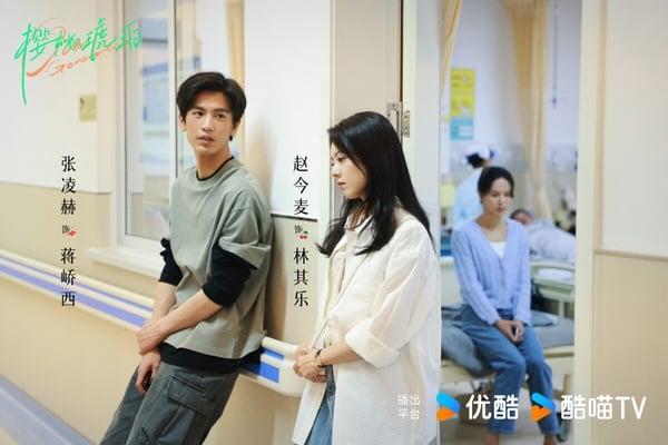 《櫻桃琥珀》由打造過《知否》、《瑯琊榜》的正午陽光出品，原先有高期待，開播後卻口碑不佳。《櫻桃琥珀》前幾集被認為太過平淡，似乎因為刪減很多戲分，導致剪輯有點混亂。而《櫻桃琥珀》的拍攝質感也被網友嫌土氣，沒有《難哄》、《你是我的榮耀》這些高分甜寵劇的氛圍感。