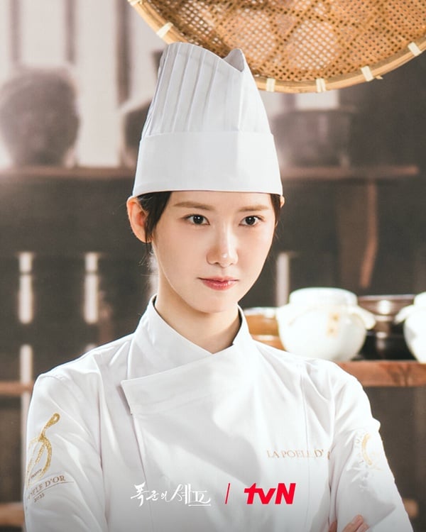 8月最值得期待韓劇TOP6！《夢想成為律師的律師們》第6輸潤娥《暴君的主廚》，冠軍是它