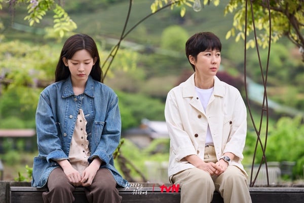 8月最值得期待韓劇TOP6！《夢想成為律師的律師們》第6輸潤娥《暴君的主廚》，冠軍是它